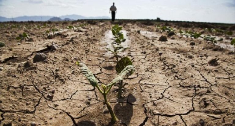 Dünya Gıda Programı’dan korkunç açıklama: 2021 çok daha kötü olacak, kıtlık kapımızda