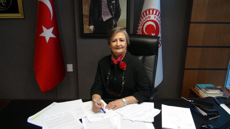 TBMM Dilekçe Komisyonu, yurt dışındaki Türk çocuklar için çalışma başlatacak