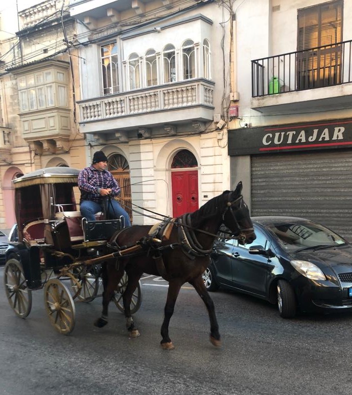Malta’nın ayrılmaz parçası at arabaları