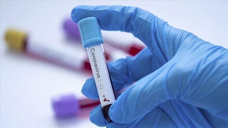 Danimarka’da şimdiye kadar koronavirüsün 31 farklı varyantına rastlandı
