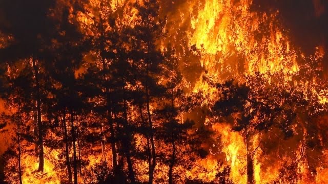 Manavgat’taki yangın devam ederken, Kütahya, Marmaris, Bodrum ve Didim’de de yangın çıktı