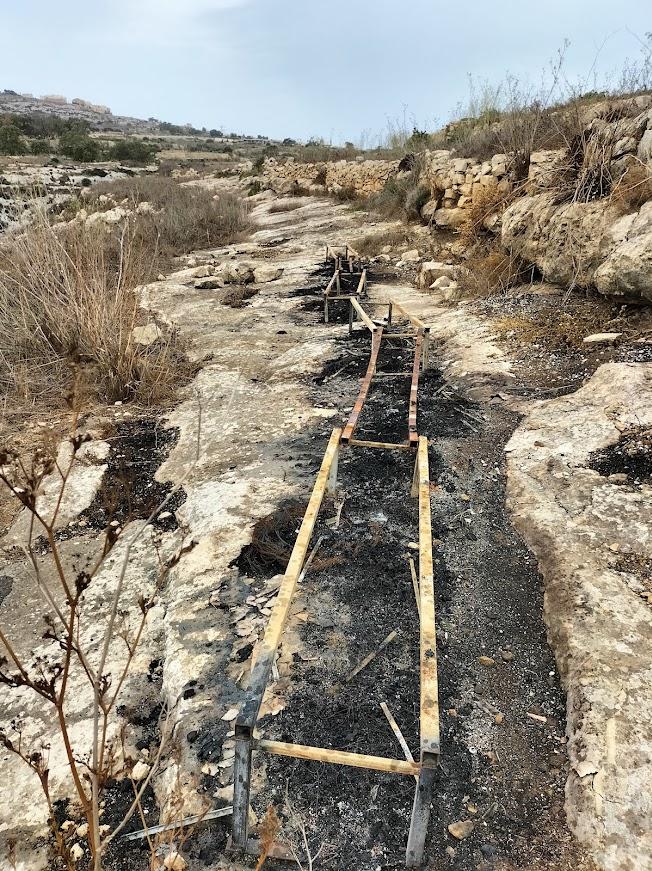 Gozo’da 1.5 milyon arı diri diri yakıldı