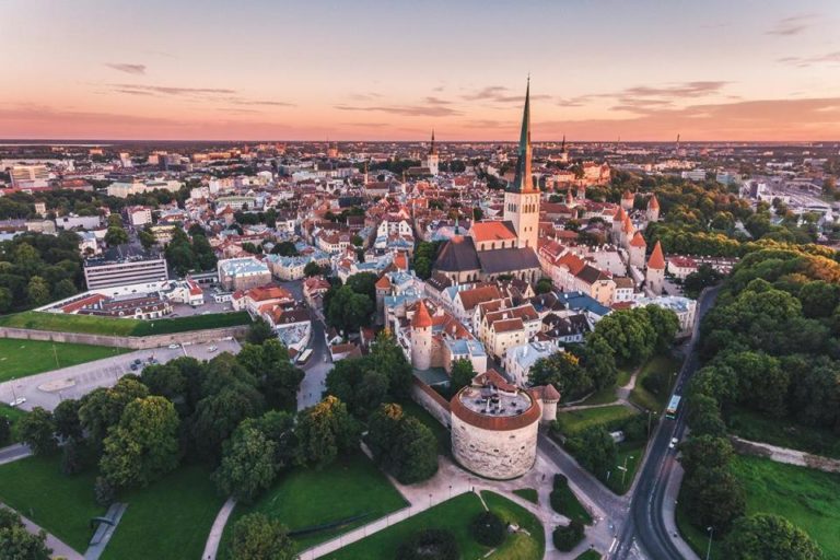 Estonya bağımsızlığının 104. yılını kutluyor