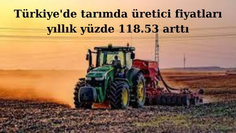 Tarımda üretici fiyatları yüzde 118.53 artışla rekor kırdı