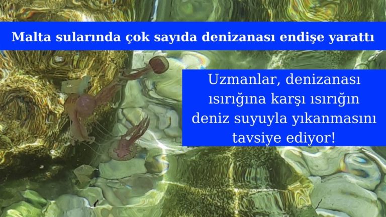 Denizanası ısırığının deniz suyuyla yıkanması tavsiye ediliyor