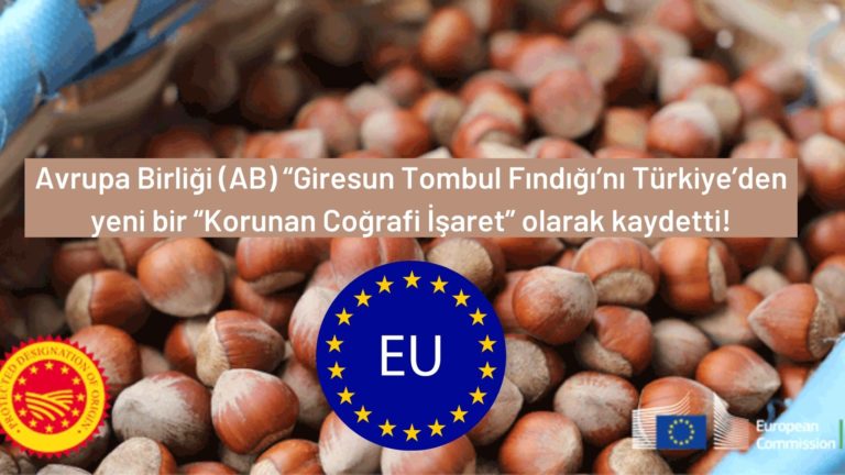 AB Giresun Tombul Fındığı’na coğrafi işaret koydu