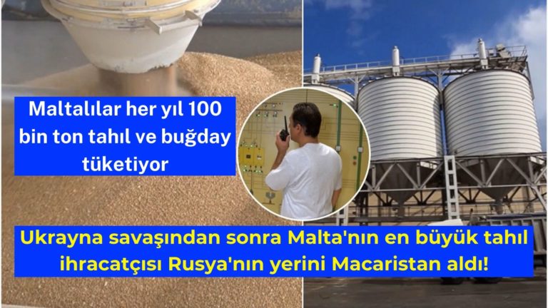 Malta’nın en büyük buğday ihracatçısı Macaristan oldu