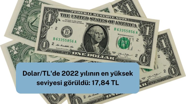Dolar/TL 2022 yılının zirvesini gördü!