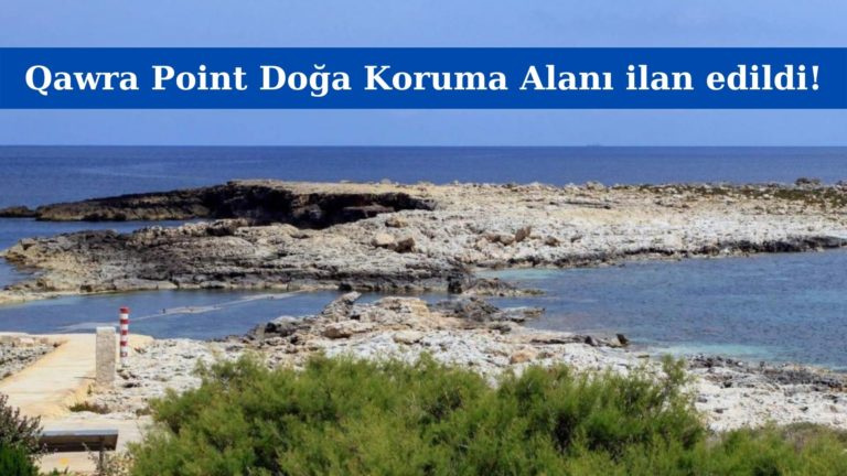 Qawra Point nihayet doğa koruma alanı ilan edildi!