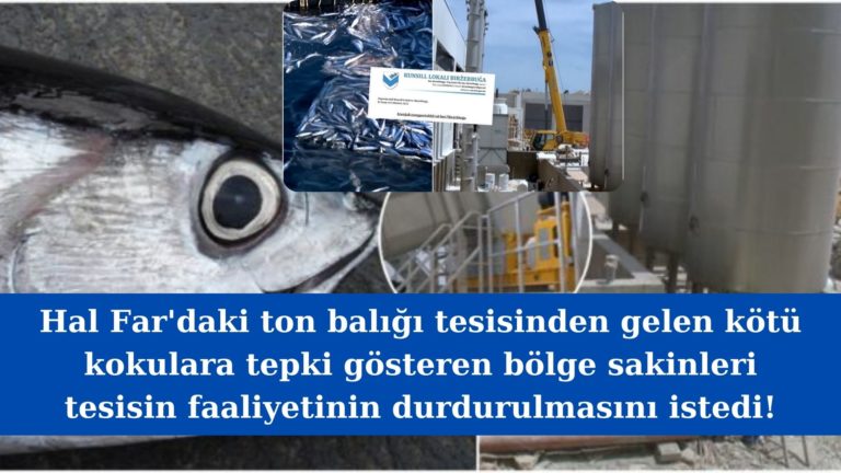 Hal Far’da kötü koku yayan balık tesisine tepki!