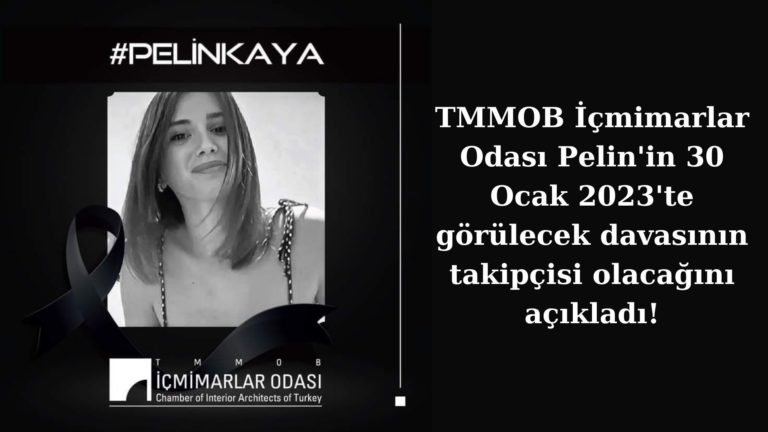 İçmimarlar Odası’ndan Pelin Kaya’nın davası için destek açıklaması!