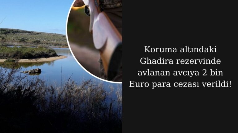 Korunan alanda kaçak ava 2 bin Euro para cezası!