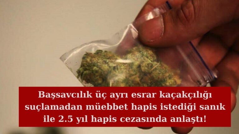 Savcılık müebbet hapis istediği sanık için 2,5 yıl hapiste anlaştı!