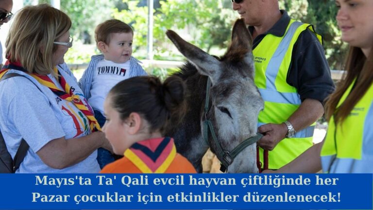 Ta’ Qali evcil hayvan çiftliğinde her Pazar çocuk etkinliği düzenlenecek!