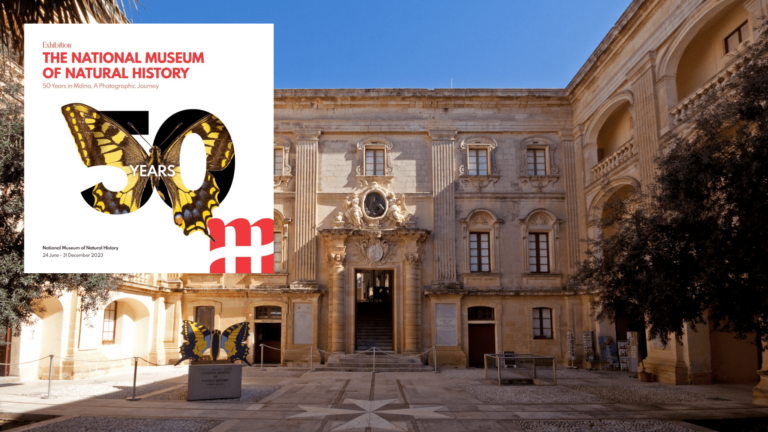 Mdina Palazzo Vilhena’daki Ulusal Doğa Tarihi Müzesi’ne 300.000 € Yatırım