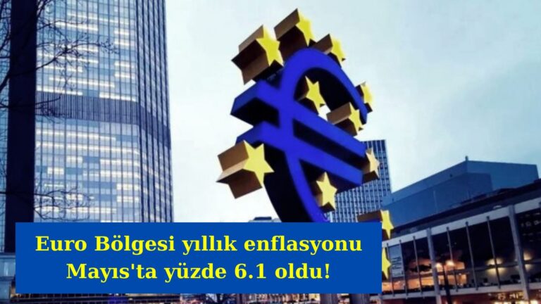Euro Bölgesi yıllık enflasyonu Mayıs’ta yüzde 6.1 oldu!
