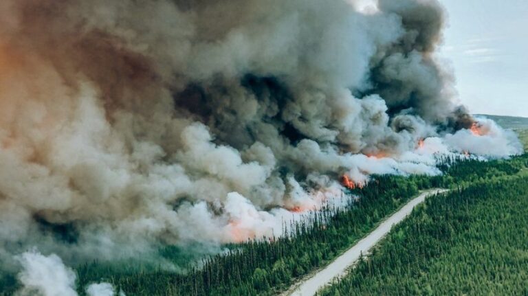 Orman Yangınlarının Sağlığımızı Nasıl Etkilediğini Biliyor Muyuz?