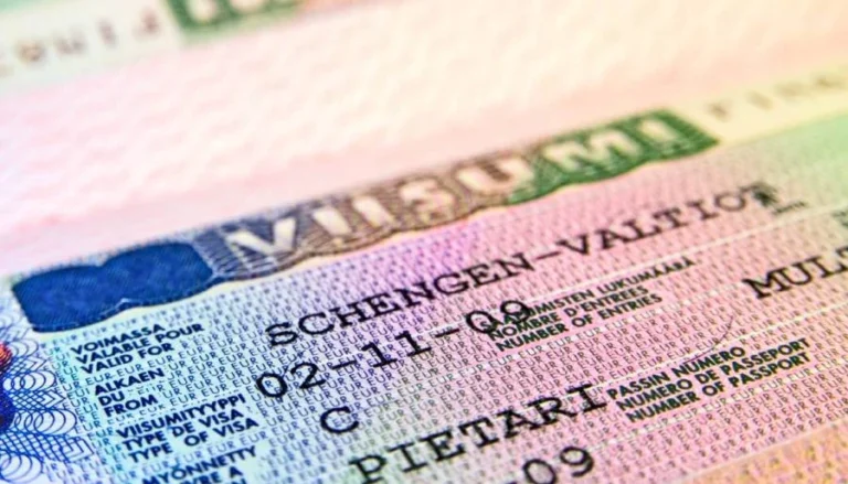 Dijital Vize Süreci: Schengen Vizesi Artık Internet Üzerinden!