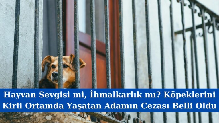 Hayvan Sevgisi mi, İhmalkarlık mı? Köpeklerini Kirli Ortamda Yaşatan Adamın Cezası Belli Oldu