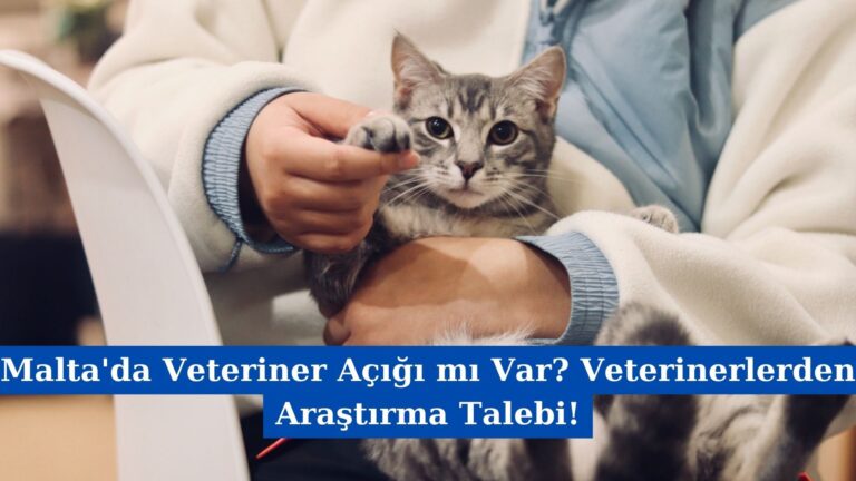 Malta’da Veteriner Açığı mı Var? Veterinerlerden Araştırma Talebi!