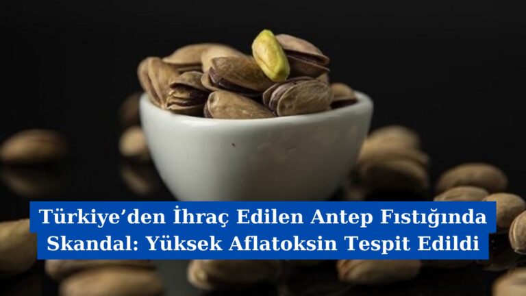 Türkiye’den İhraç Edilen Antep Fıstığında Skandal: Yüksek Aflatoksin Tespit Edildi