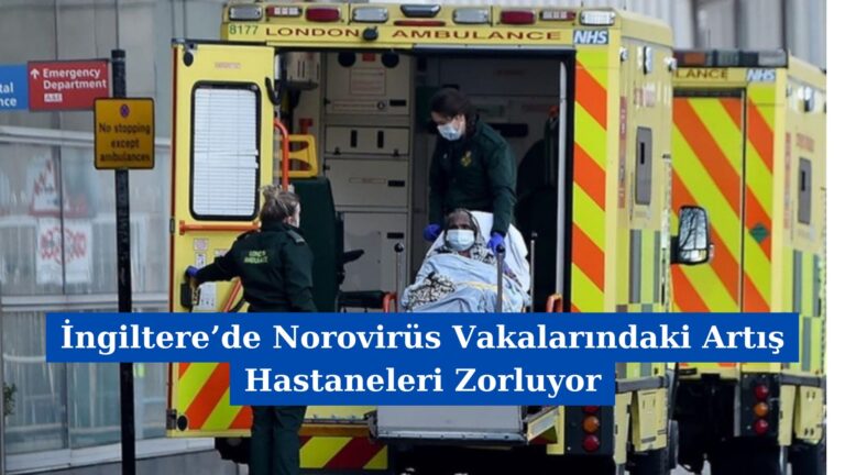 İngiltere’de Norovirüs Vakalarındaki Artış Hastaneleri Zorluyor