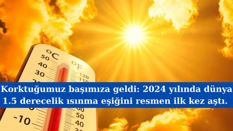 Korktuğumuz başımıza geldi: 2024 yılında dünya 1.5 derecelik ısınma eşiğini resmen ilk kez aştı.