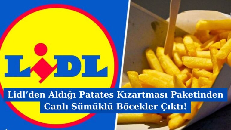 Lidl’den Aldığı Patates Kızartması Paketinden Canlı Sümüklü Böcekler Çıktı!