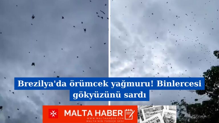 Brezilya’da örümcek yağmuru! Binlercesi gökyüzünü sardı