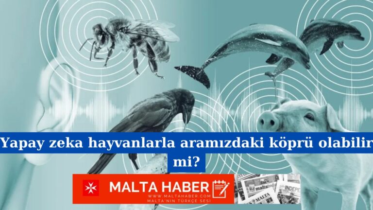 Yapay zeka hayvanlarla aramızdaki köprü olabilir mi?
