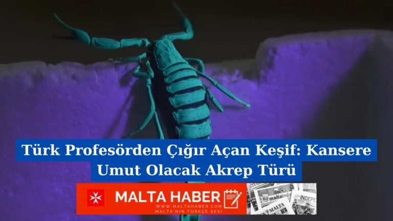 Türk Profesörden Çığır Açan Keşif: Kansere Umut Olacak Akrep Türü