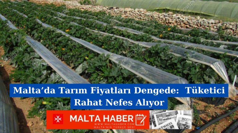 Malta’da Tarım Fiyatları Dengede:  Tüketici Rahat Nefes Alıyor