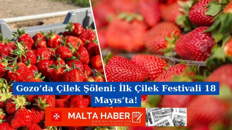 Gozo’da Çilek Şöleni: İlk Çilek Festivali 18 Mayıs’ta!