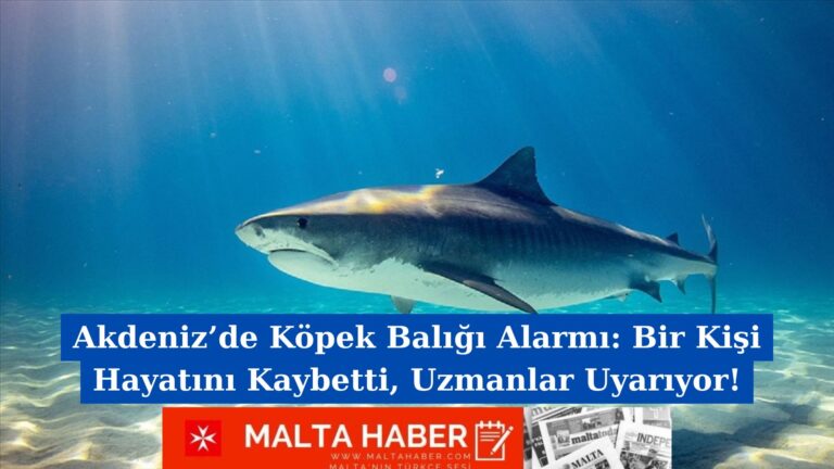 Akdeniz’de Köpek Balığı Alarmı: Bir Kişi Hayatını Kaybetti, Uzmanlar Uyarıyor!