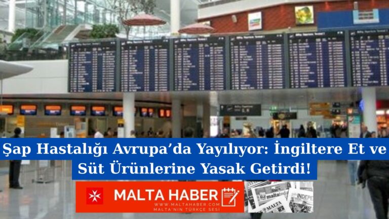 Şap Hastalığı Avrupa’da Yayılıyor: İngiltere Et ve Süt Ürünlerine Yasak Getirdi!