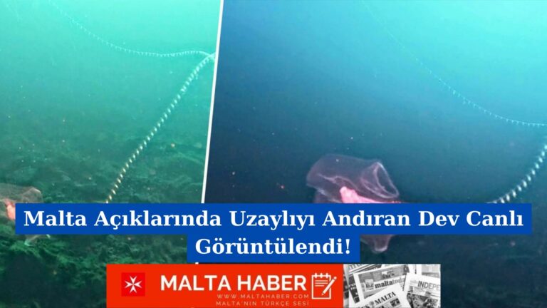 Malta Açıklarında Uzaylıyı Andıran Dev Canlı Görüntülendi!