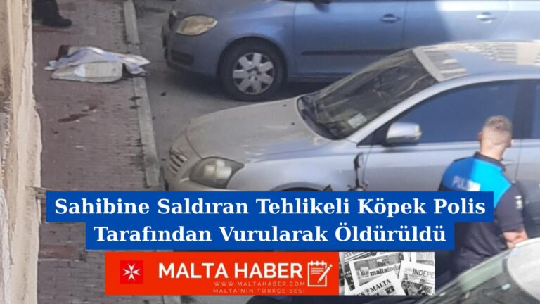 Sahibine Saldıran Tehlikeli Köpek Polis Tarafından Vurularak Öldürüldü