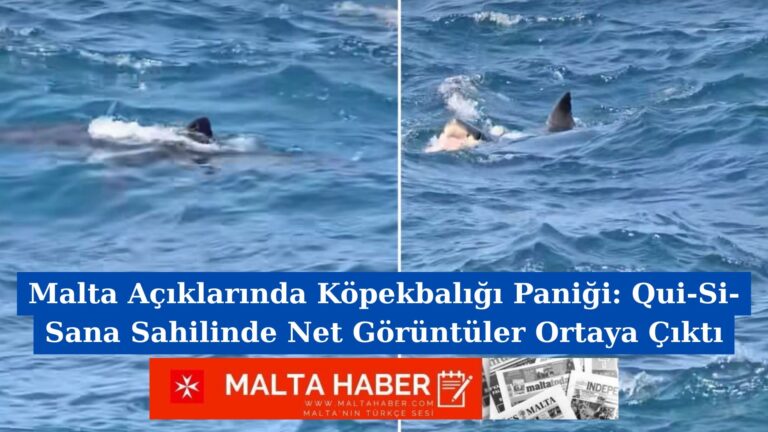 Malta Açıklarında Köpekbalığı Paniği: Qui-Si-Sana Sahilinde Net Görüntüler Ortaya Çıktı