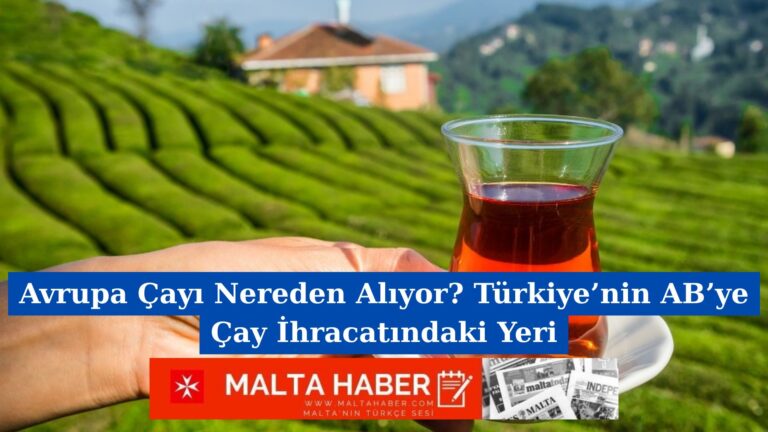 Avrupa Çayı Nereden Alıyor? Türkiye’nin AB’ye Çay İhracatındaki Yeri