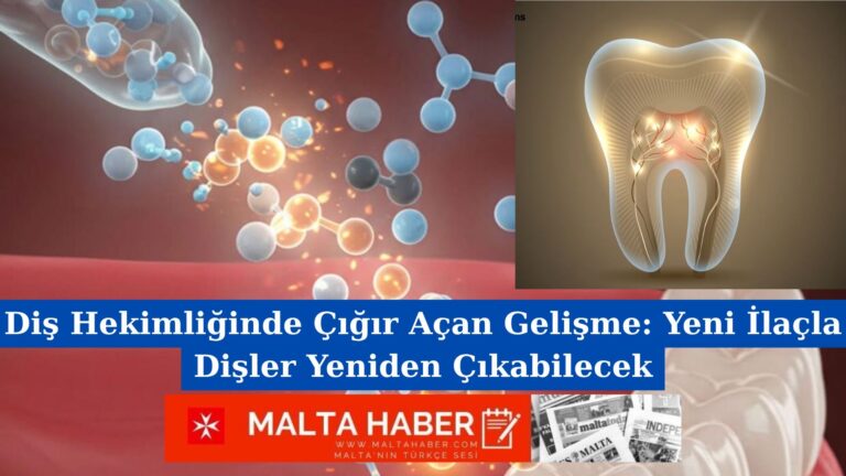 Diş Hekimliğinde Çığır Açan Gelişme: Yeni İlaçla Dişler Yeniden Çıkabilecek