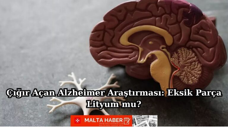 Çığır Açan Alzheimer Araştırması: Eksik Parça Lityum mu?