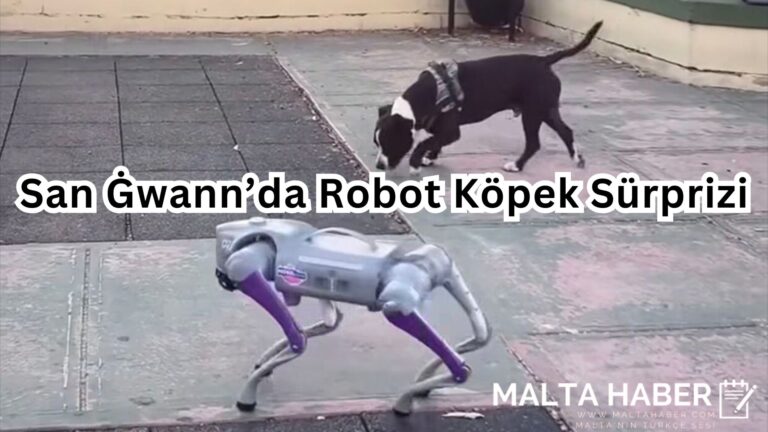 San Ġwann’da Robot Köpek Sürprizi