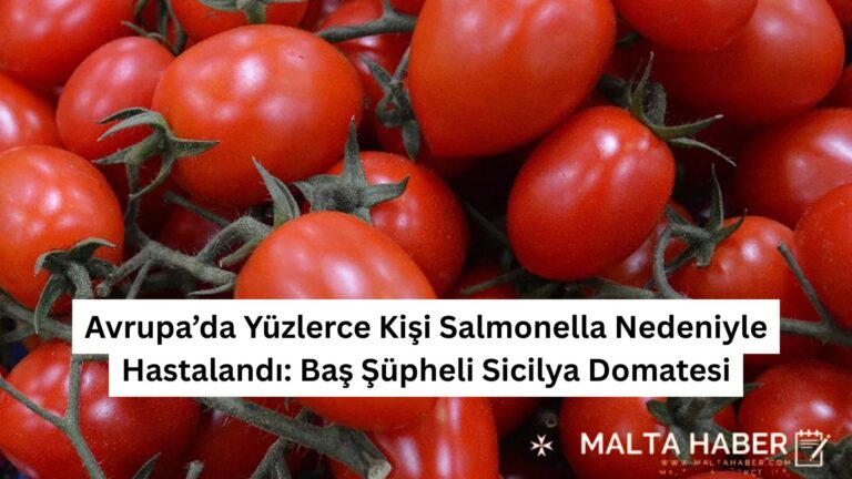 Avrupa’da Yüzlerce Kişi Salmonella Nedeniyle Hastalandı: Baş Şüpheli Sicilya Domatesi