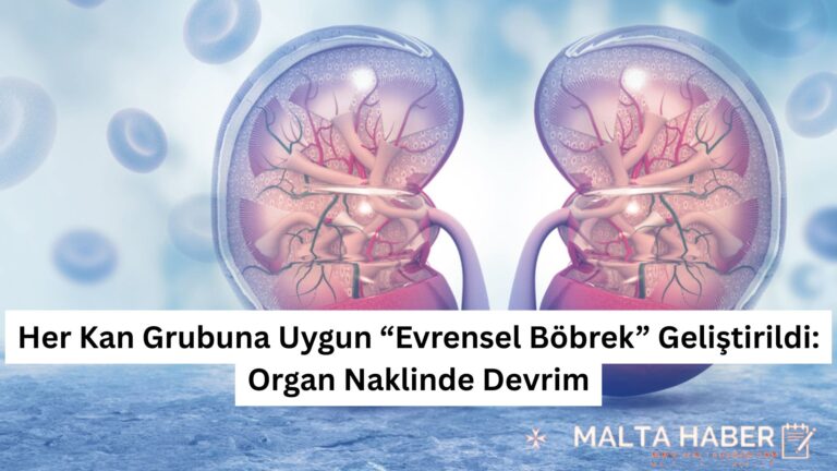 Her Kan Grubuna Uygun “Evrensel Böbrek” Geliştirildi: Organ Naklinde Devrim