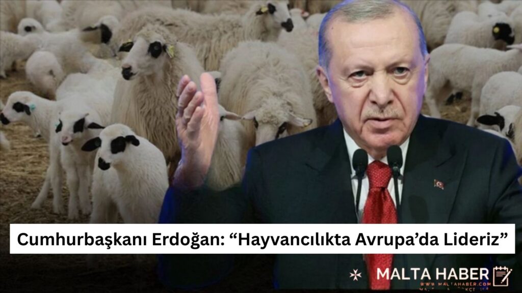 Cumhurbaşkanı Erdoğan: “Hayvancılıkta Avrupa’da Lideriz”