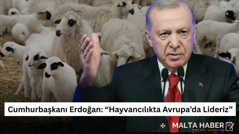 Cumhurbaşkanı Erdoğan: “Hayvancılıkta Avrupa’da Lideriz”
