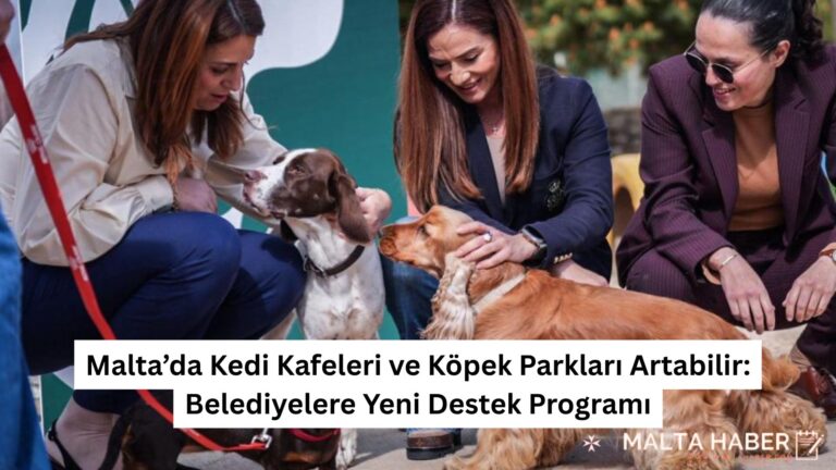 Malta’da Kedi Kafeleri ve Köpek Parkları Artabilir: Belediyelere Yeni Destek Programı