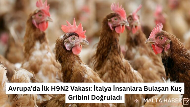 Avrupa’da İlk H9N2 Vakası: İtalya İnsanlara Bulaşan Kuş Gribini Doğruladı
