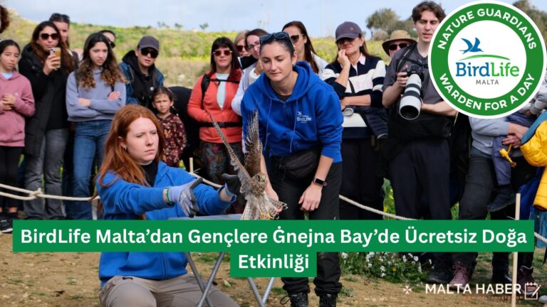 BirdLife Malta’dan Gençlere Ġnejna Bay’de Ücretsiz Doğa Etkinliği