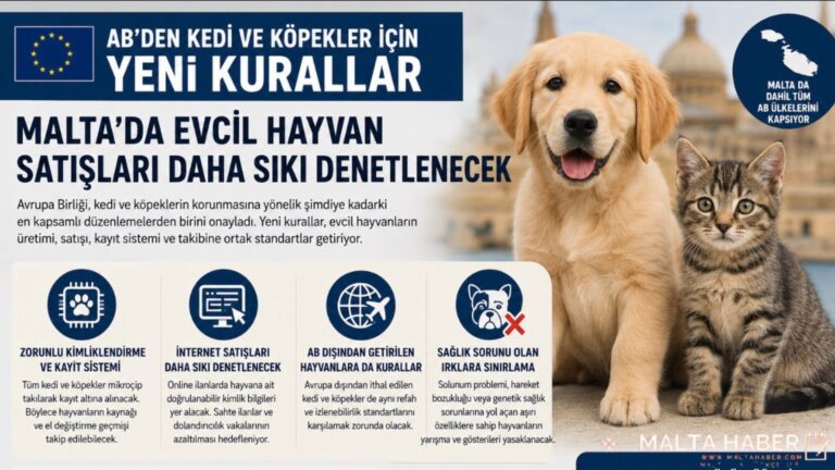 AB’den Kedi ve Köpekler İçin Yeni Kurallar: Malta’da Evcil Hayvan Satışları Daha Sıkı Denetlenecek